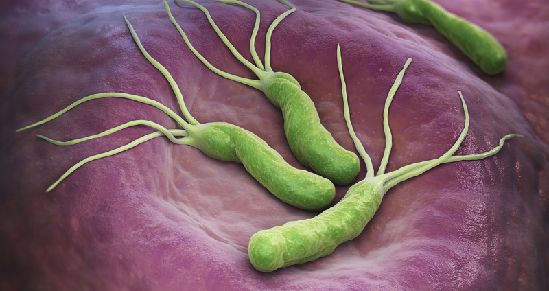 ピロリ菌感染による胃がん予防の重要性とは？